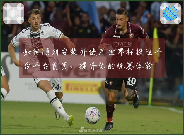 如何顺利安装并使用世界杯投注平台平台首页，提升你的观赛体验