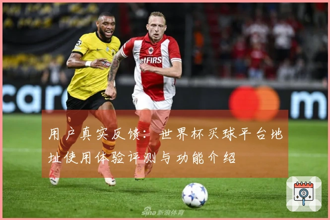 用户真实反馈：世界杯买球平台地址使用体验评测与功能介绍