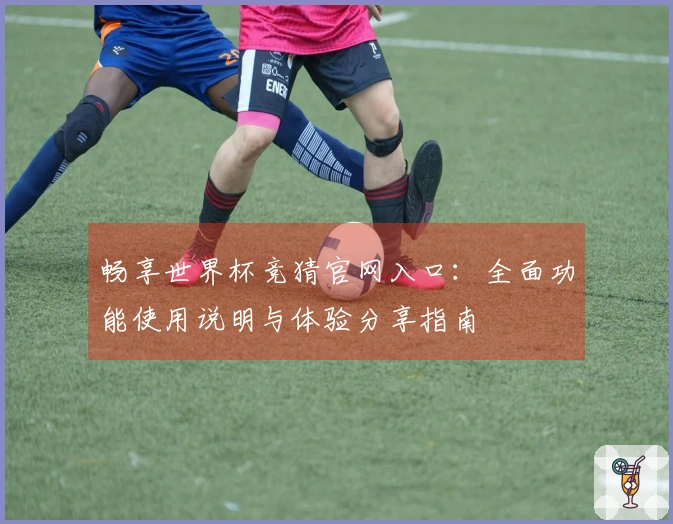 畅享世界杯竞猜官网入口：全面功能使用说明与体验分享指南
