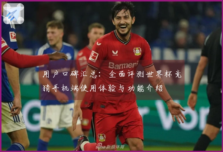用户口碑汇总：全面评测世界杯竞猜手机端使用体验与功能介绍
