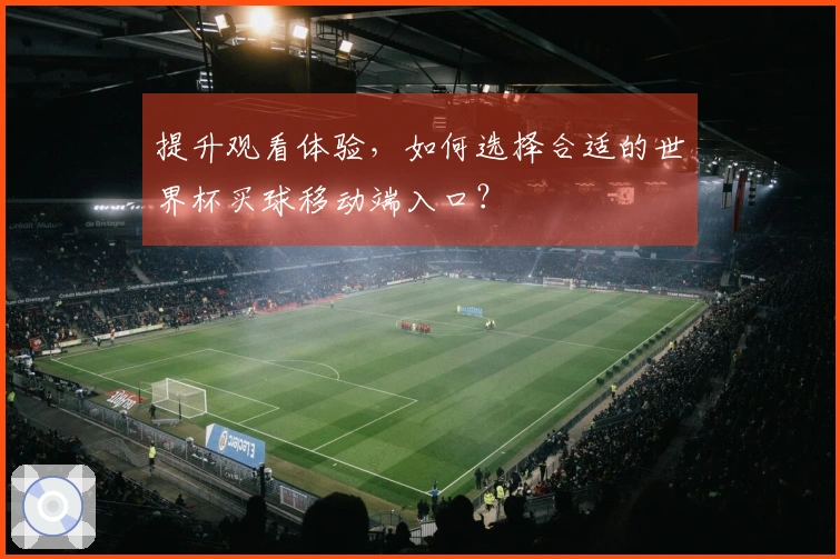 提升观看体验，如何选择合适的世界杯买球移动端入口？