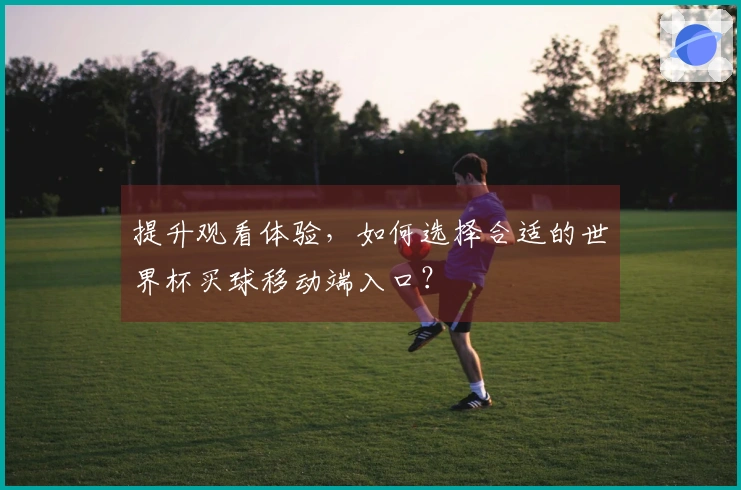 提升观看体验,如何选择合适的世界杯买球移动端入口?