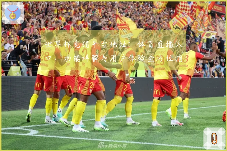 世界杯竞猜平台地址：体育直播入口，功能详解与用户体验全方位指南