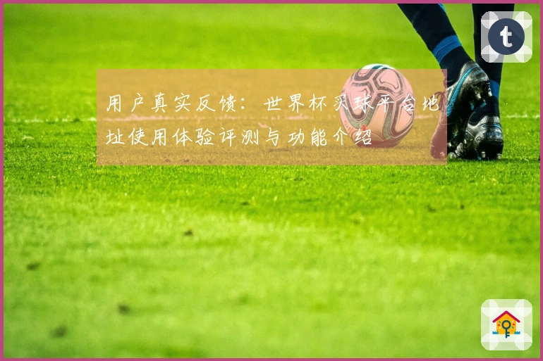 用户真实反馈：世界杯买球平台地址使用体验评测与功能介绍