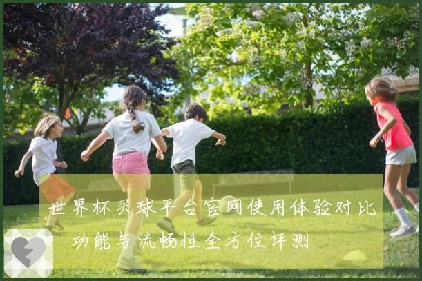 世界杯买球平台官网使用体验对比：功能与流畅性全方位评测