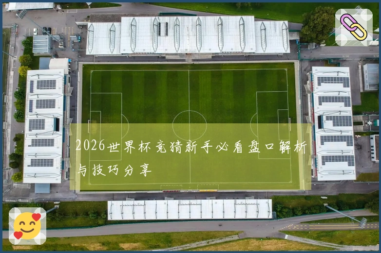 2026世界杯竞猜新手必看盘口解析与技巧分享