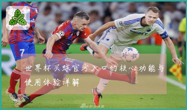 世界杯买球官方入口的核心功能与使用体验详解