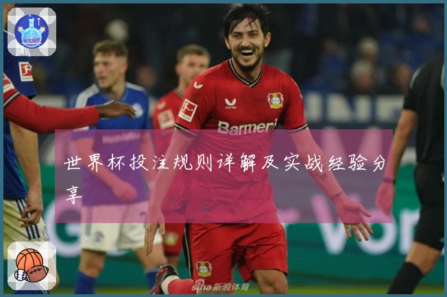 世界杯投注规则详解及实战经验分享