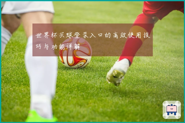 世界杯买球登录入口的高效使用技巧与功能详解